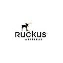Ruckus Wireless